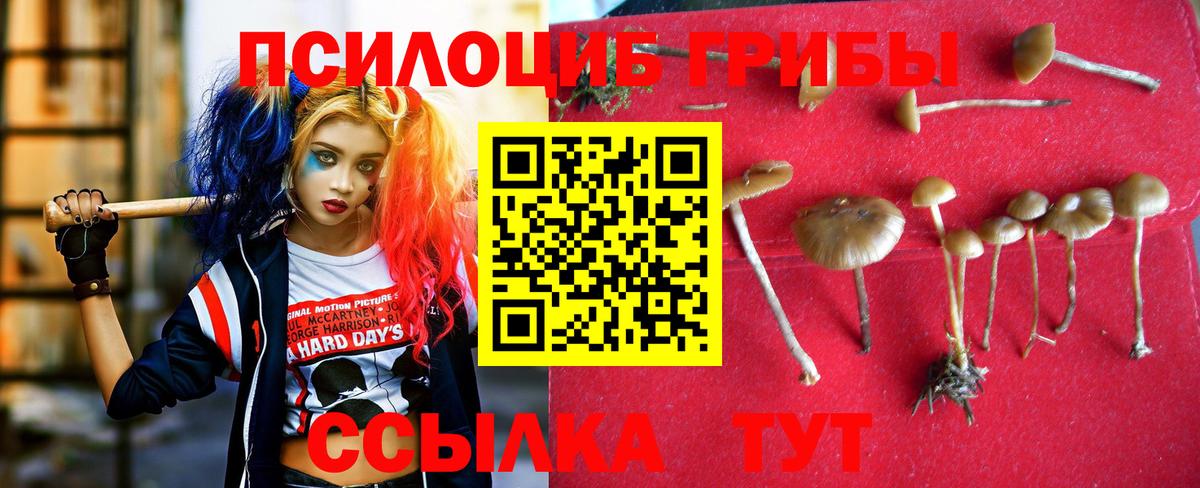 купить наркотик  Псилоцибиновые грибы мухоморы  Вход с VPN  Губкин  Псилоцибиновые грибы MAGIC MUSHROOMS 
